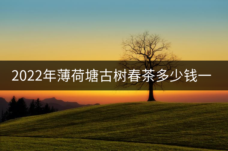 2022年薄荷塘古樹春茶多少錢一公斤？