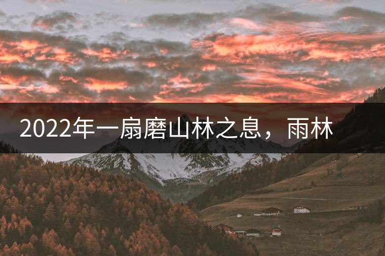2022年一扇磨山林之息，雨林之味，原始之態(tài)