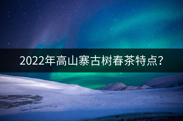 2022年高山寨古樹春茶特點? 2022年高山寨古樹春茶特點?