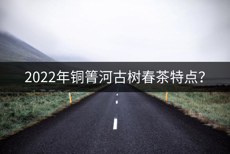 2022年銅箐河古樹春茶特點？