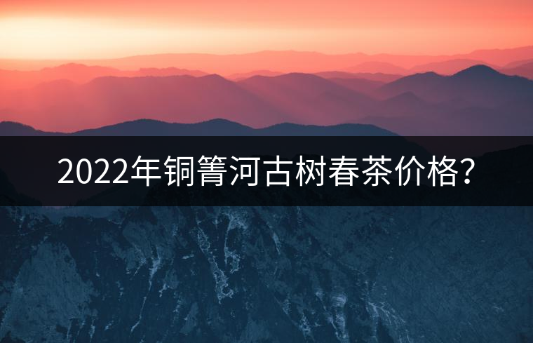 2022年銅箐河古樹春茶價格？