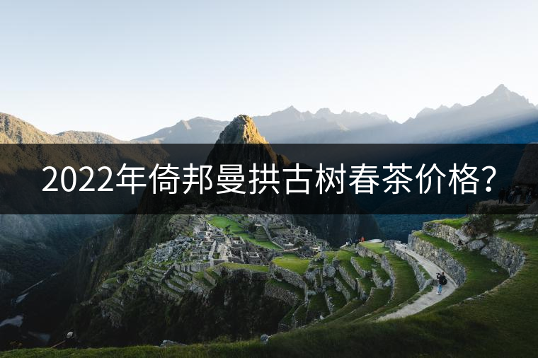 2022年倚邦曼拱古樹(shù)春茶價(jià)格？