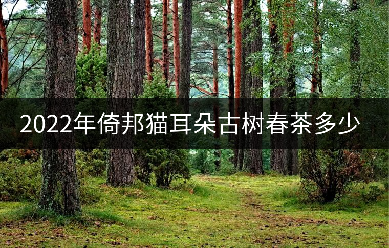 2022年倚邦貓耳朵古樹春茶多少錢一公斤？