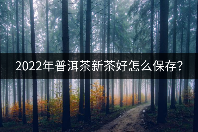 2022年普洱茶新茶好怎么保存？