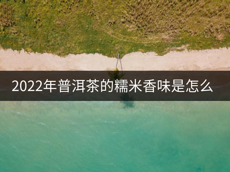 2022年普洱茶的糯米香味是怎么來(lái)的? 2022年普洱茶的糯米香味是怎么來(lái)的?