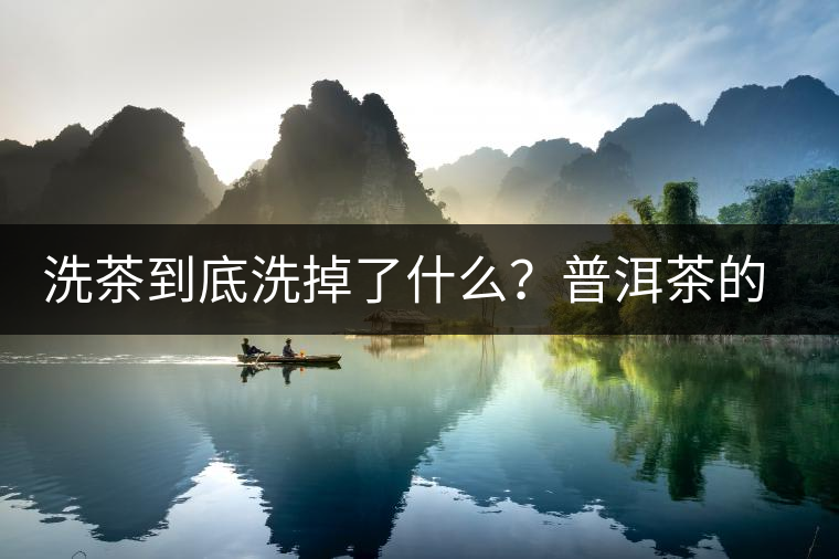 洗茶到底洗掉了什么？普洱茶的農(nóng)藥殘留真的可以洗掉嗎？