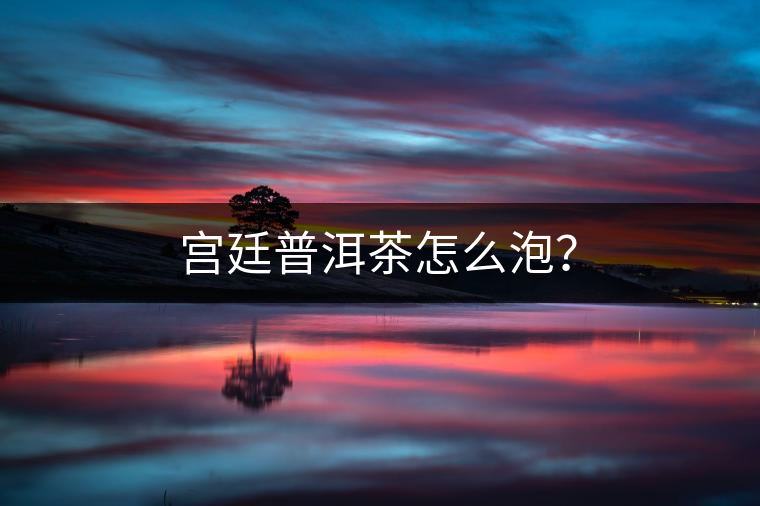 宮廷普洱茶怎么泡？
