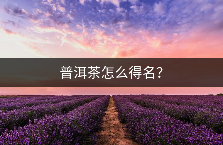普洱茶怎么得名？