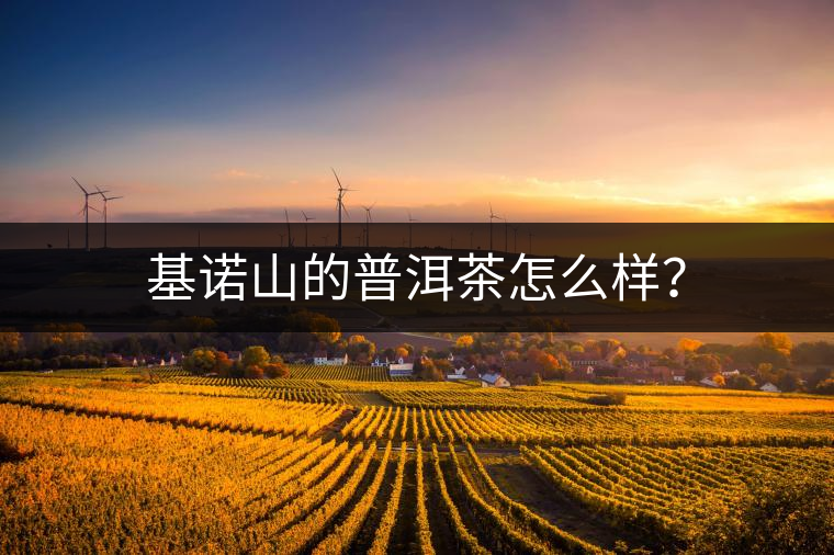 基諾山的普洱茶怎么樣？