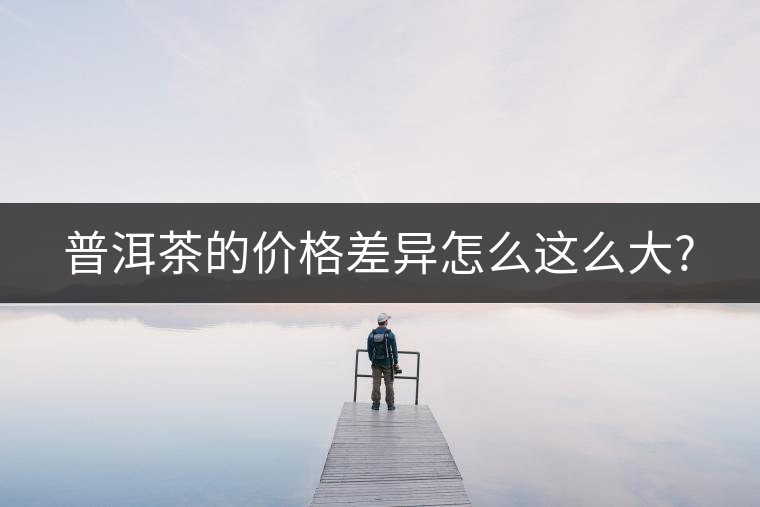 普洱茶的價格差異怎么這么大?