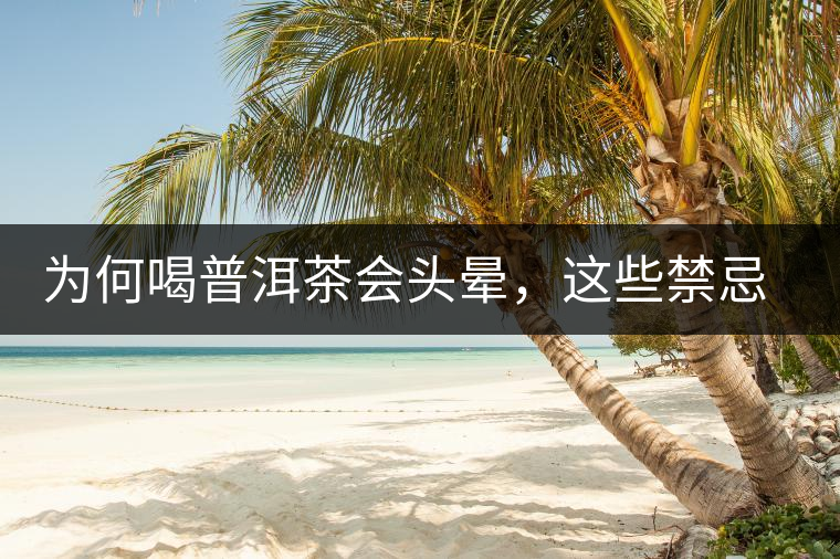 為何喝普洱茶會頭暈，這些禁忌你了解多少？
