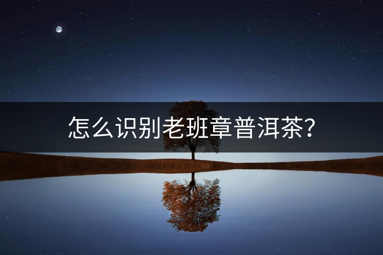 怎么識別老班章普洱茶？