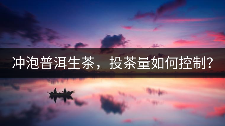 沖泡普洱生茶，投茶量如何控制？