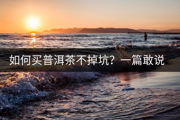 如何買普洱茶不掉坑？一篇敢說真話的良心之作。