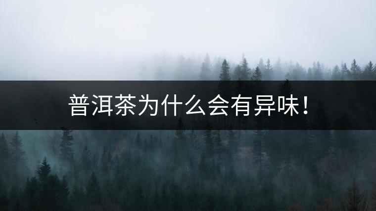 普洱茶為什么會有異味！