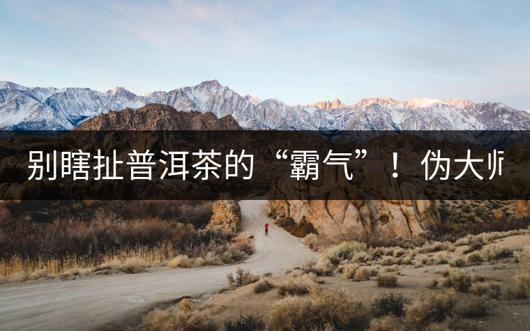 別瞎扯普洱茶的“霸氣”！偽大師！