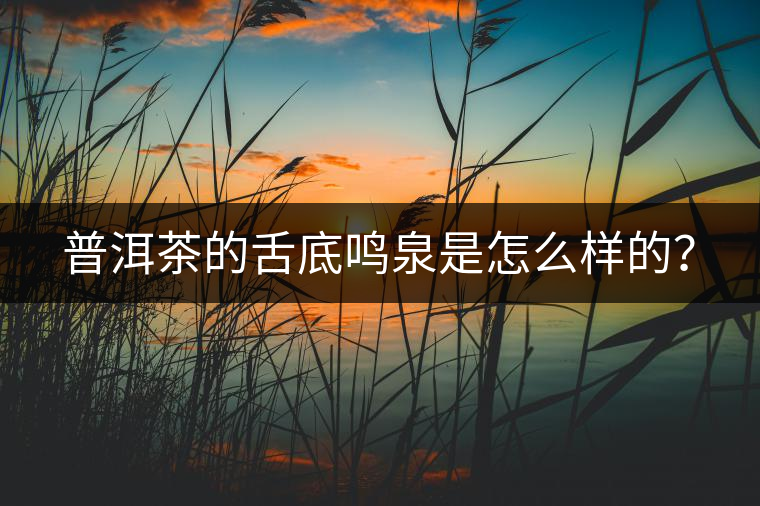 普洱茶的舌底鳴泉是怎么樣的？