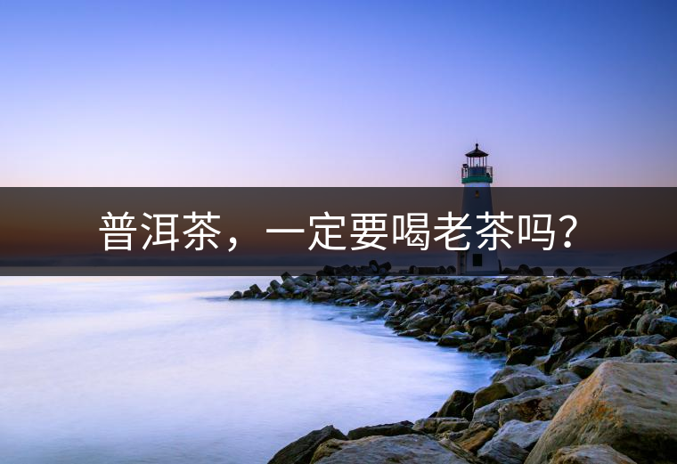 普洱茶，一定要喝老茶嗎？