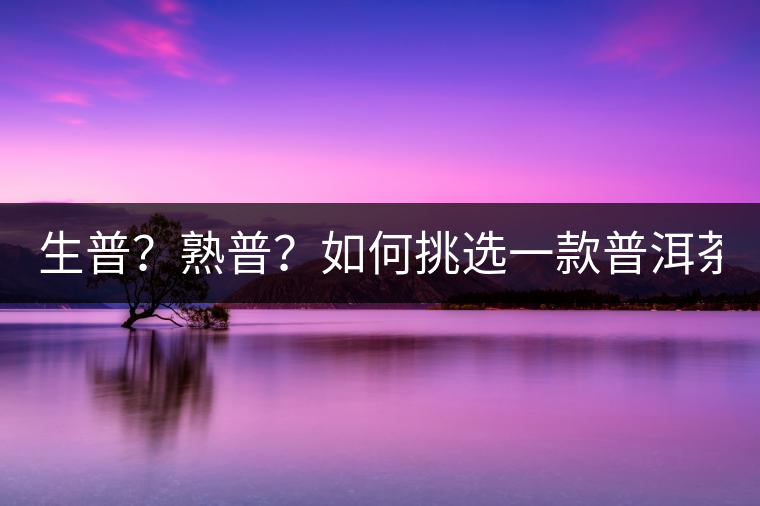 生普？熟普？如何挑選一款普洱茶？