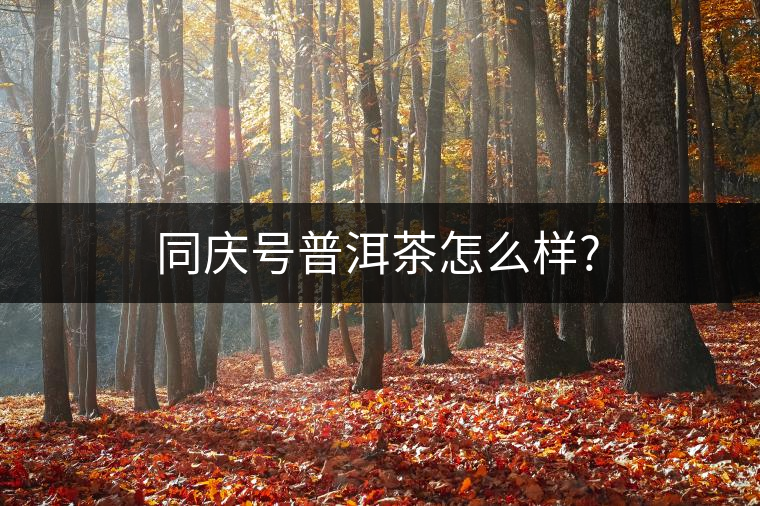 同慶號(hào)普洱茶怎么樣?