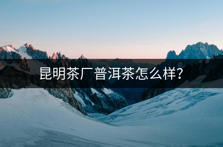 昆明茶廠普洱茶怎么樣？