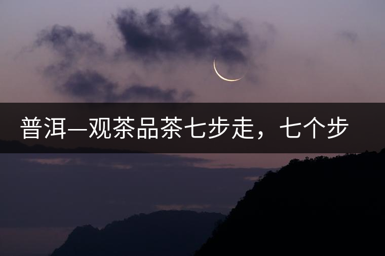 普洱—觀茶品茶七步走，七個步驟，喝懂普洱茶