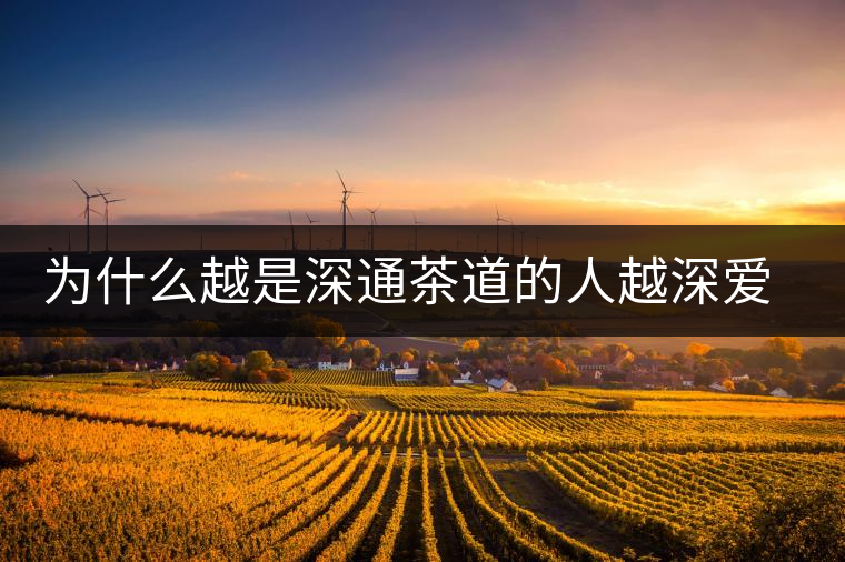 為什么越是深通茶道的人越深愛普洱茶？喜歡普洱茶，有三個原因。