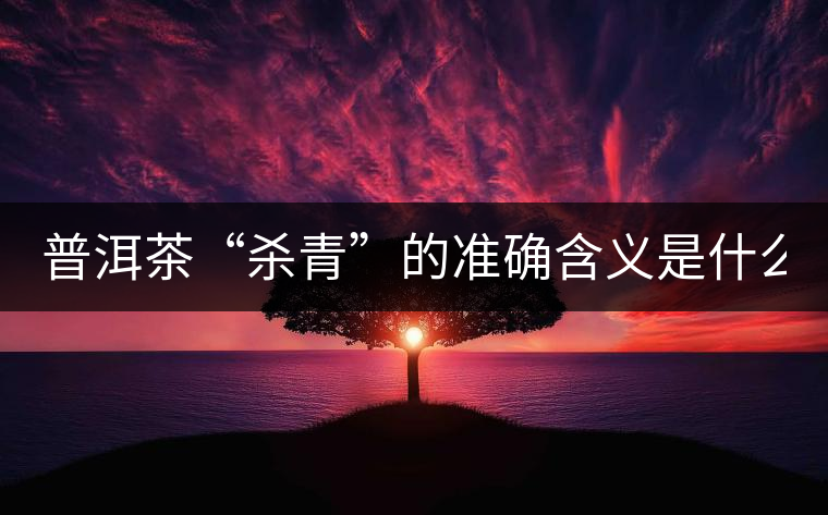 普洱茶“殺青”的準(zhǔn)確含義是什么？