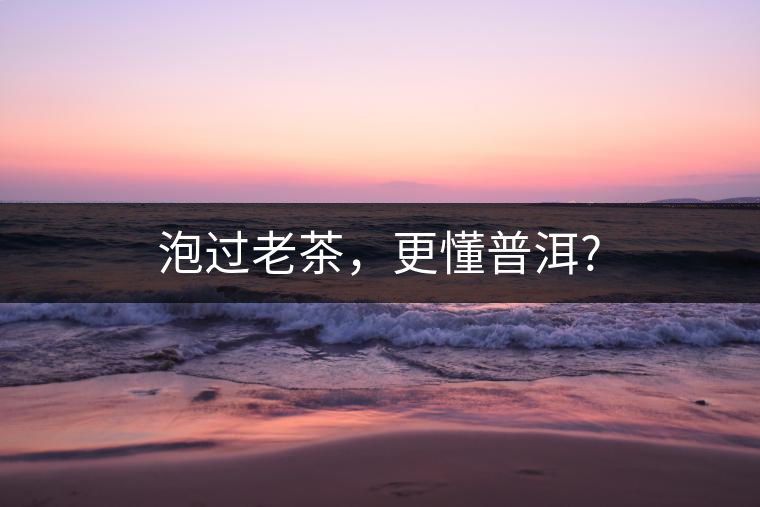 泡過(guò)老茶，更懂普洱?