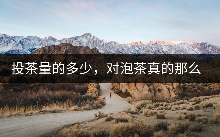 投茶量的多少，對泡茶真的那么重要嗎？