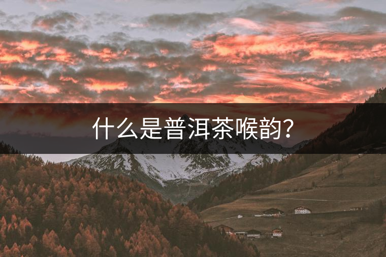 什么是普洱茶喉韻？