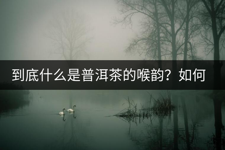 到底什么是普洱茶的喉韻？如何感受？