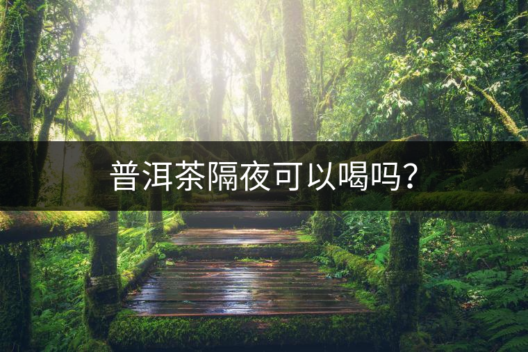 普洱茶隔夜可以喝嗎？