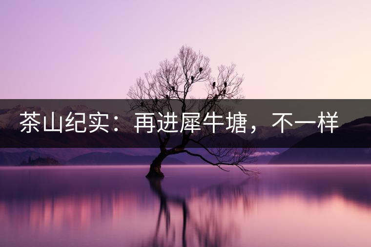 茶山紀(jì)實(shí)：再進(jìn)犀牛塘，不一樣的感覺(jué)；菁瑤可以預(yù)見(jiàn)的豐收年