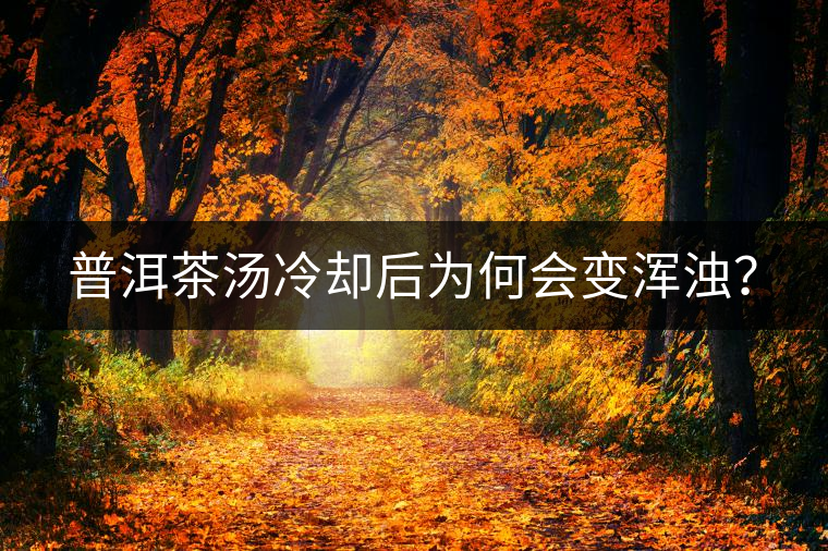 普洱茶湯冷卻后為何會(huì)變渾濁？