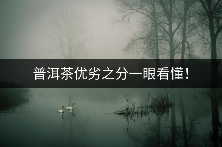 普洱茶優(yōu)劣之分一眼看懂！