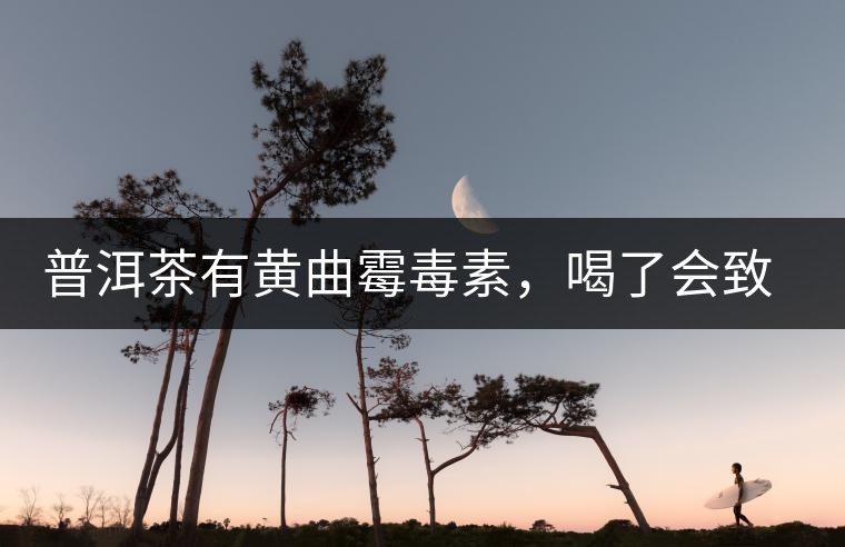 普洱茶有黃曲霉毒素，喝了會致癌？不黑不吹，咱用事實說話