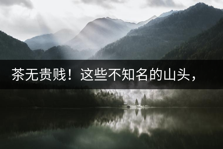 茶無(wú)貴賤！這些不知名的山頭，其實(shí)也產(chǎn)優(yōu)質(zhì)普洱茶！
