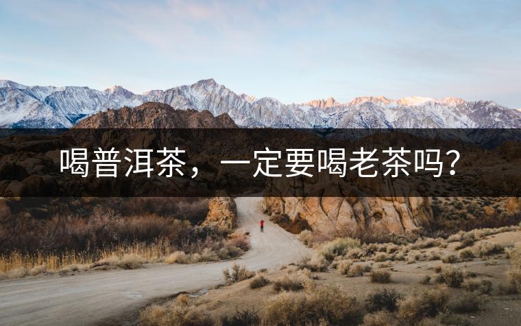 喝普洱茶，一定要喝老茶嗎？