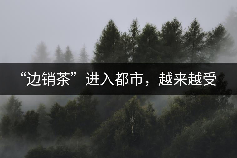 “邊銷茶”進入都市，越來越受人們青睞