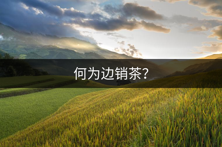 何為邊銷茶？