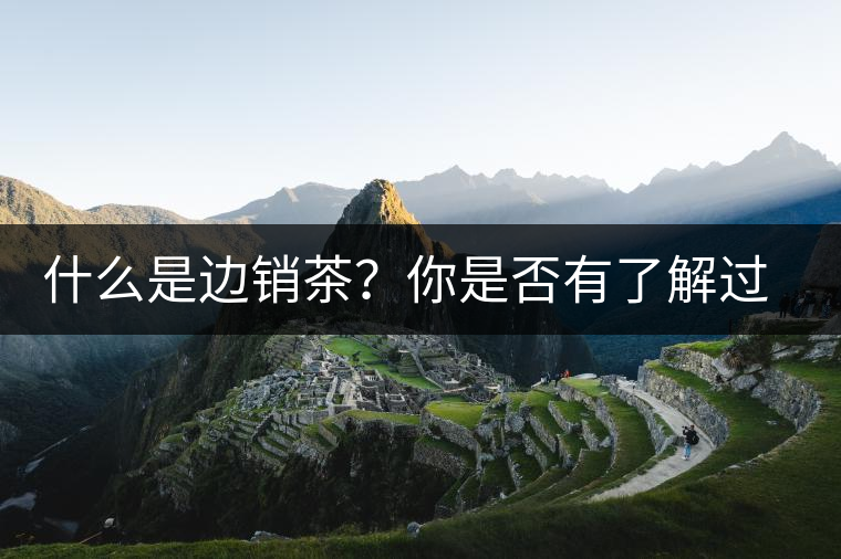 什么是邊銷茶？你是否有了解過邊銷茶呢？