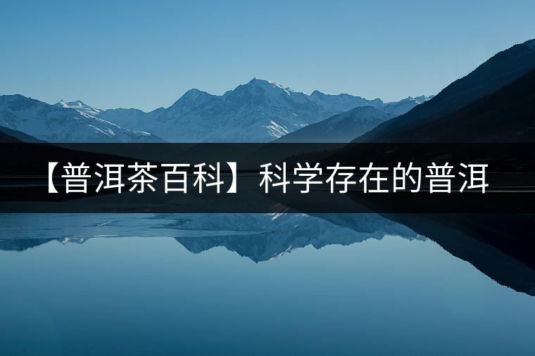 【普洱茶百科】科學(xué)存在的普洱茶氣