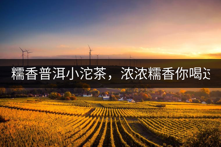 糯香普洱小沱茶，濃濃糯香你喝過(guò)嗎？