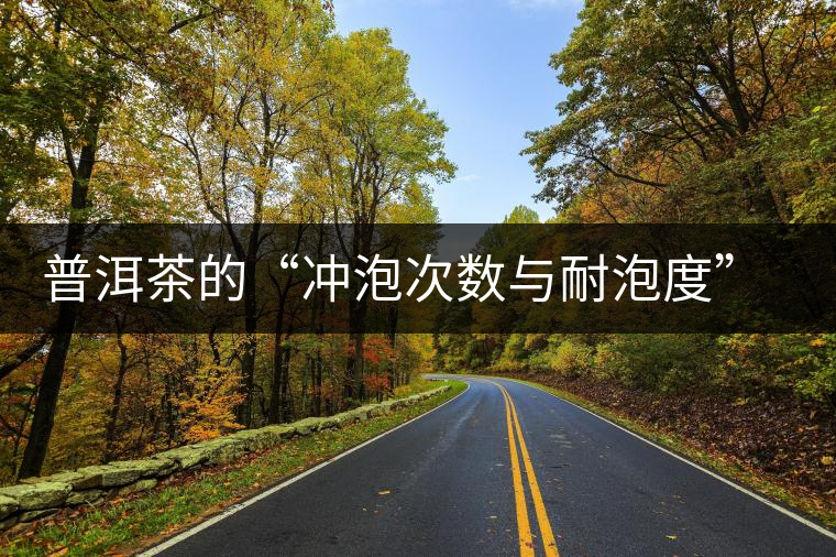 普洱茶的“沖泡次數與耐泡度”，你都了解嗎？