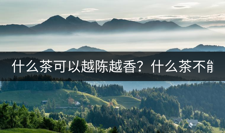 什么茶可以越陳越香？什么茶不能？