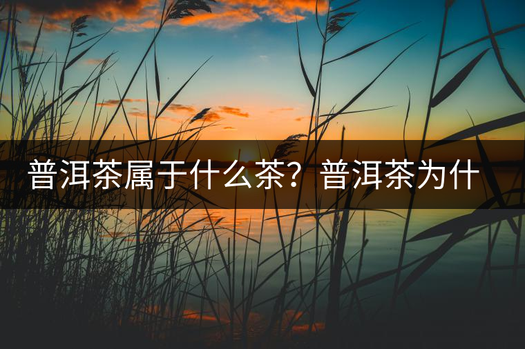 普洱茶屬于什么茶？普洱茶為什么會(huì)越陳越香？