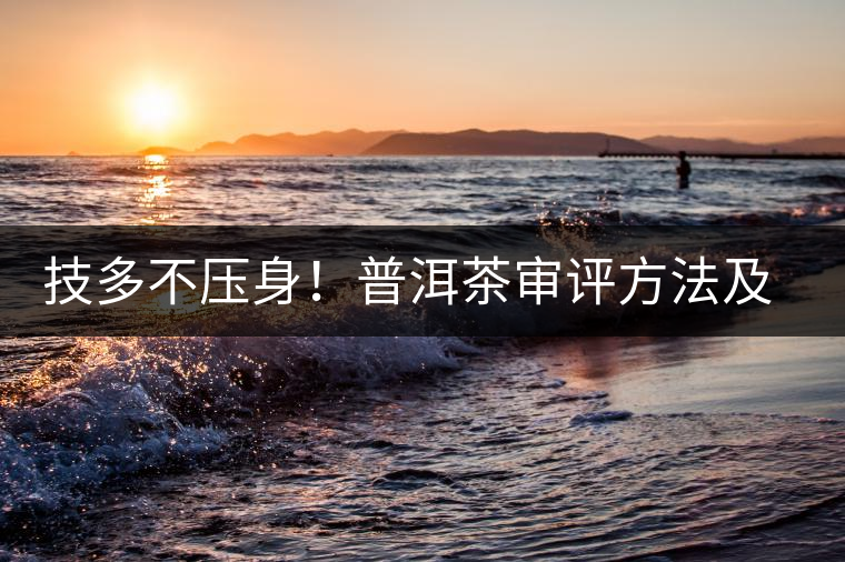 技多不壓身！普洱茶審評方法及專業(yè)術(shù)語大全（下）