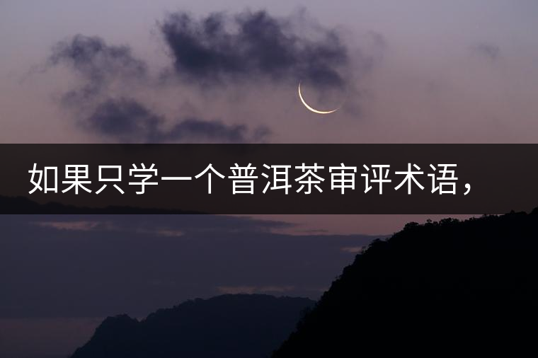 如果只學一個普洱茶審評術(shù)語，那應該是什么？