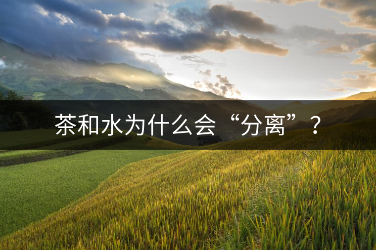 茶和水為什么會“分離”？